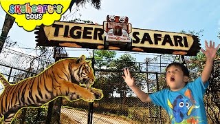 Toddler&#39;s Adventure in Tiger Safari - Animals in the zoo lion, zebra, pig, camel, monkey