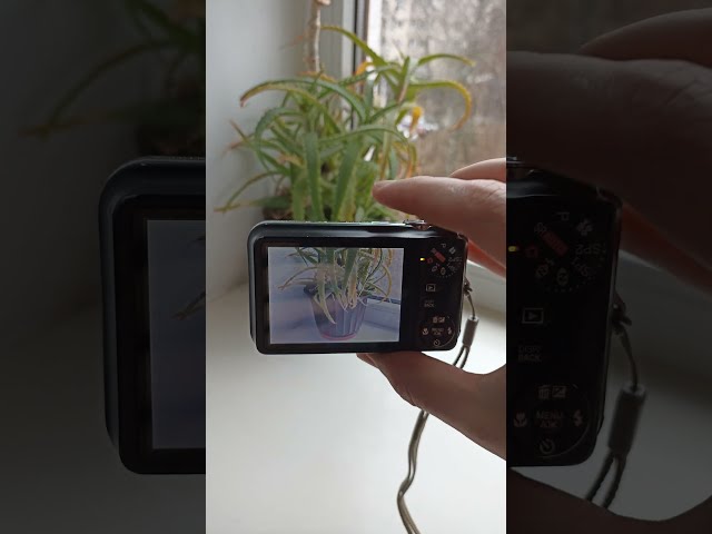 Vídeo relacionado con vhbw Cable USB, cable de datos 150cm compatible con Fuji/Fujifilm Finepix JV100, JV105, JV110, JV150, JV160, JX355, JX360, JX370, JX375, JX380