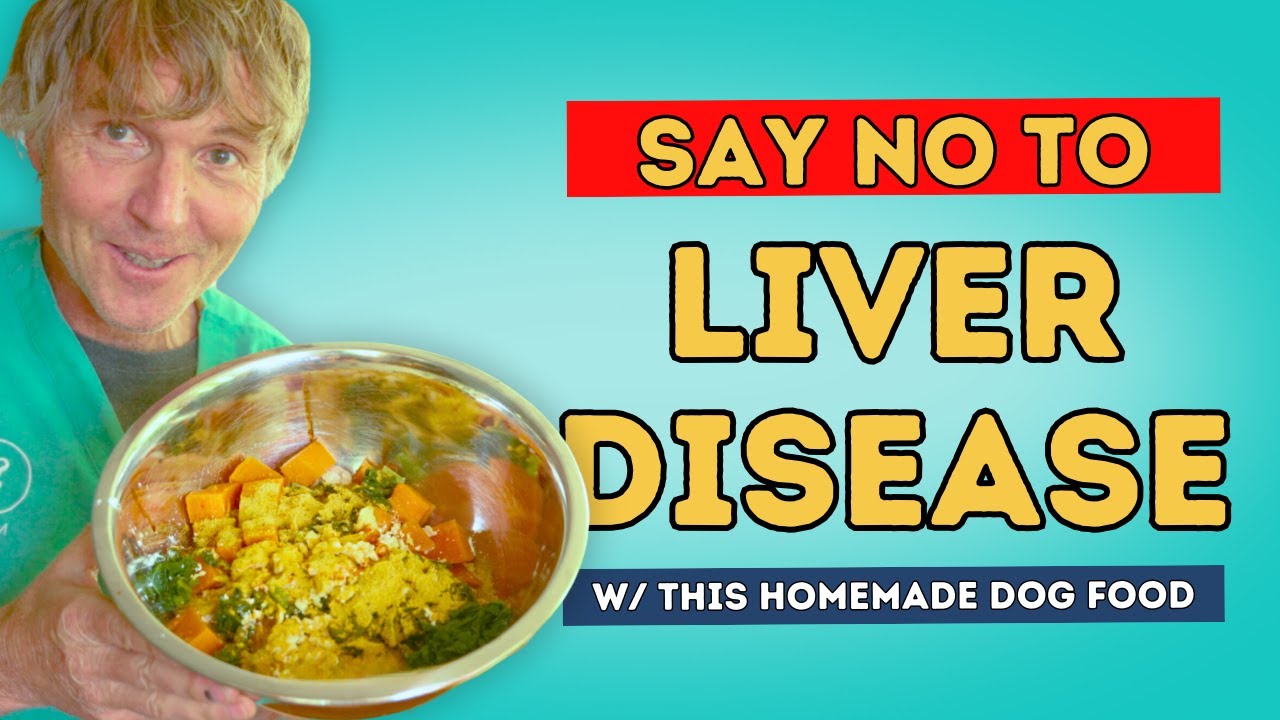 Best Homemade Dog Food Recipe for Dogs with Liver Disease