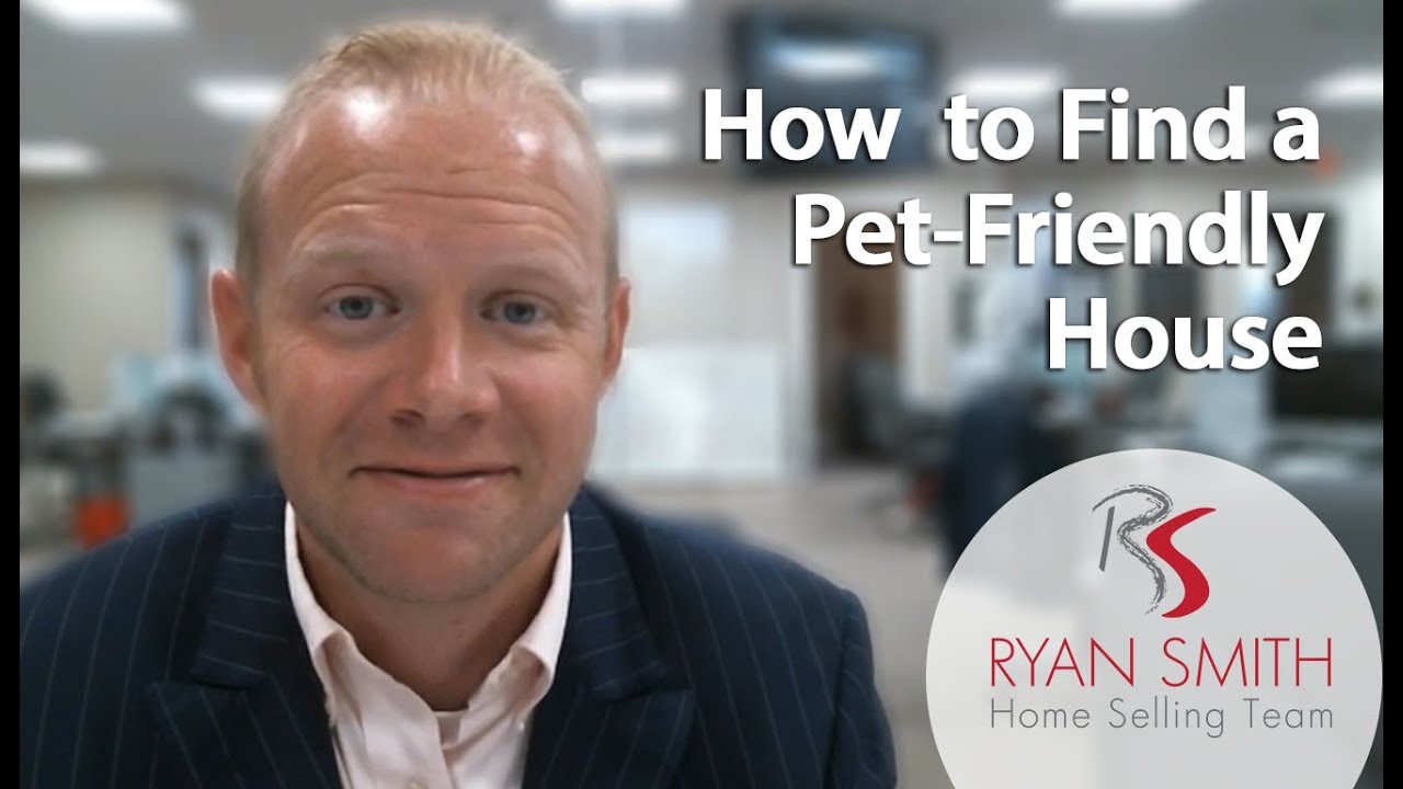 7 Tips to Help You Make Sure Your New Home Is Pet-Friendly
