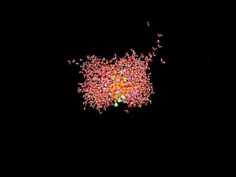 Molecular dynamics simulation of a solvated hydrophilic folded polymer chain