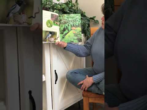 Everything Spring read by Miss Wendy