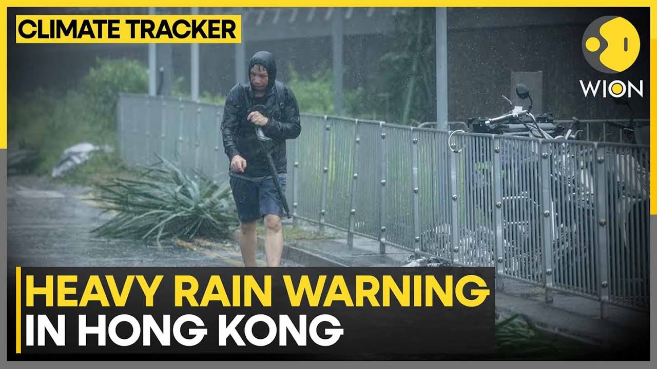 Storm Podul: Streets Turn Into Rivers, Skies Roar With Thunder | WION Climate Tracker