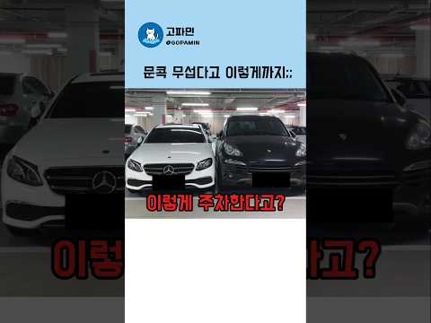 문콕 때문에 이렇게 주차한다고...?