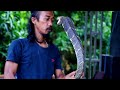 THE KING COBRA LIVE SHOW PRADANA NADA