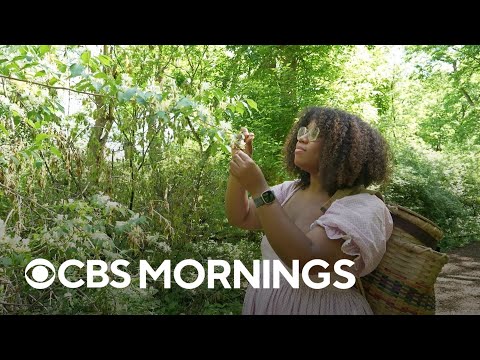 Black Forager: Finding Wild Edible Plants for Meals video thumbnail