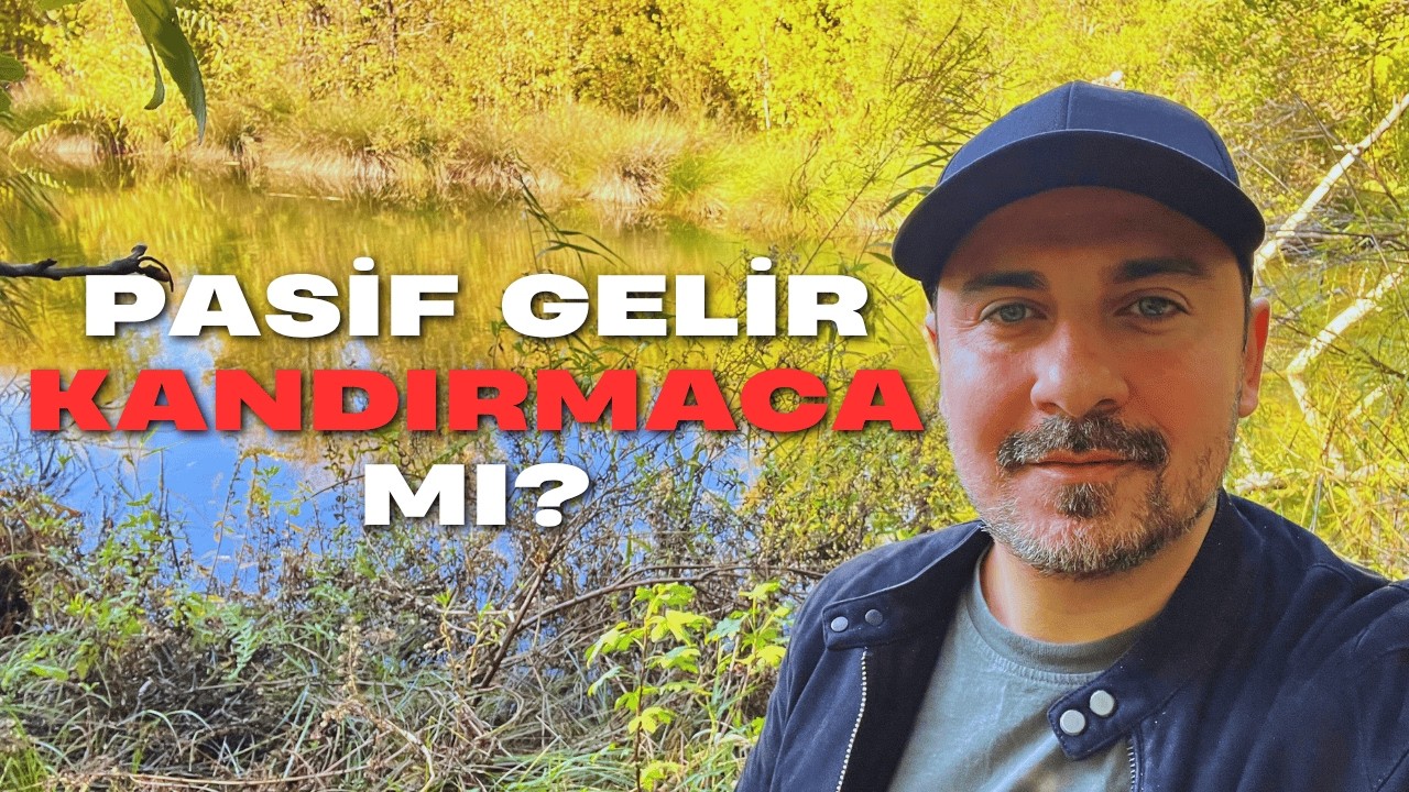 Pasif Gelir Nedir ve Nasıl Oluşturulur? | Gerçekler, Süreç ve Örnekler