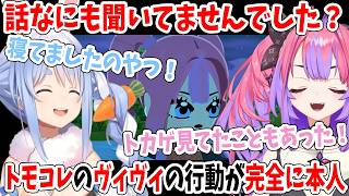 話なにも聞いてませんでした？トモコレのヴィヴィの行動が完全に本人【ホロライブ切り抜き/兎田ぺこら/綺々羅々ヴィヴィ】