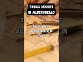 The Town Of Alberobello In Italy Shorts Italy