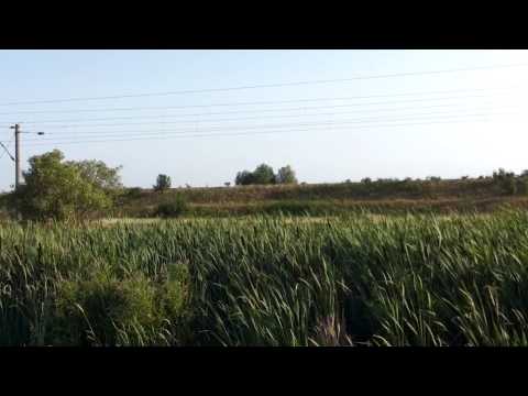 Tren IR 1952 Suceava Nord-Mangalia 12.7.2015