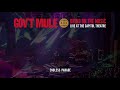 Gov't Mule - Endless Parade (Bring On The Music - Live at The Capitol Theatre)