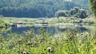 Солнцеворот - Аркона / Solncevorot - Arkona