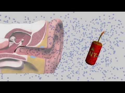 Das Ohr - Aufbau, Funktion und Pflege Trailer MedienLB