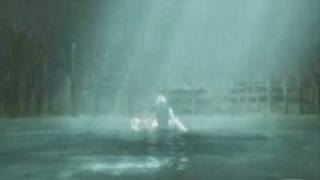Final Fantasy Tribute - The Serpentine Offering / Dimmu Borgir