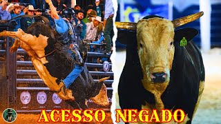 ACESSO NEGADO – O TOURO MAIS TEMIDO DO BRASIL!