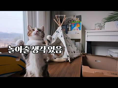 우리가 온실 속 화초라고?