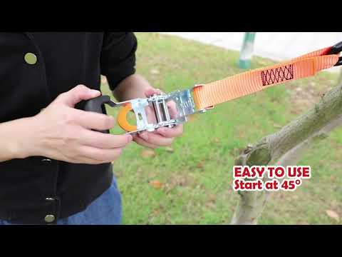 Amazoncom XSTRAP STANDARD Ratchet Tie Down Straps   4PK   1 116 in x 10 ft 3000 Lb Break Strength He