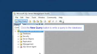 Open SQL Server & Write a simple query: SQL Training by SQLSteps