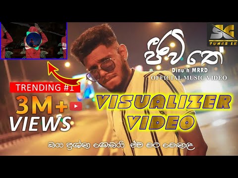 Jeewithe | ජීවිතේ (ඔය ප්‍රශ්ණ ගොඩයි ඒවා මට මොනාද) Dinu'h MRRD | OFFICIAL VISUALIZER VIDEO