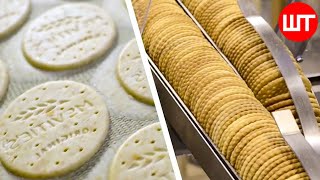 Biscuit Factory Process  How Biscuits Are Made In 