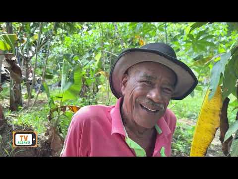 TV ACERVO URUÇUCA BAHIA - Histórias e vida de Paulo da carroça 