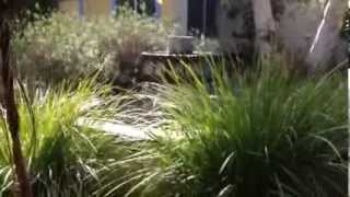 How to Feed the Birds