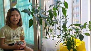 2022 도시농업활성화 영상공모전[장려작] 관련사진