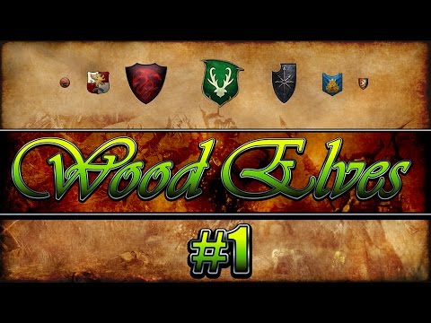 King in the Woods -Total War Warhammer Wood Elves #1