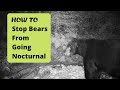 Bear Baiting: Dealing with Nocturnal Bears