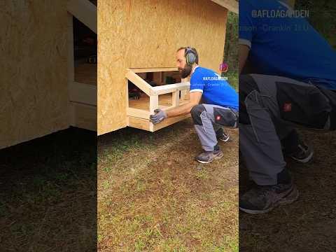 Nesting boxes for the chickens #shorts