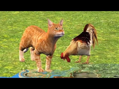 MACJA LE TE LAHET ♥️ - Kenge per femije - Swimming Cat, Song for children - Macoku Tv