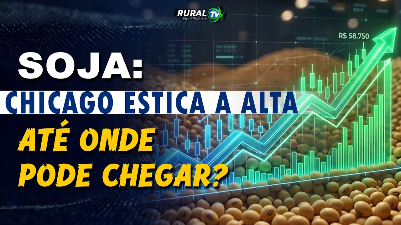 SOJA: CHICAGO ESTICA A ALTA. ATÉ ONDE PODE CHEGAR?