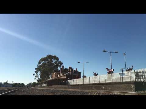 NR80, NR77, NR8 and NR89, Pacific National, Stawell, good train.