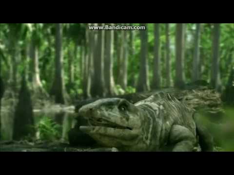 Arthropleura vs amphibian