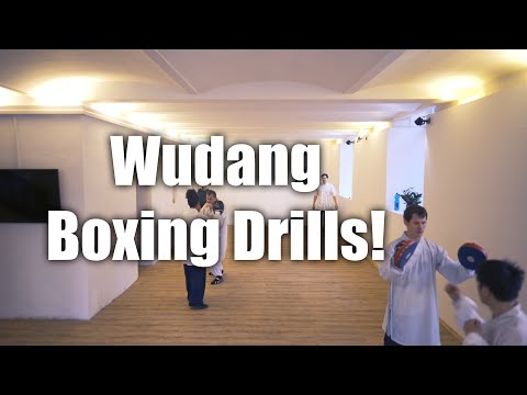 #Wudang Chinese Boxing Combination Training
