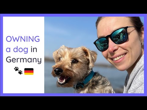 10 Things NOBODY tells you about owning a dog in Germany