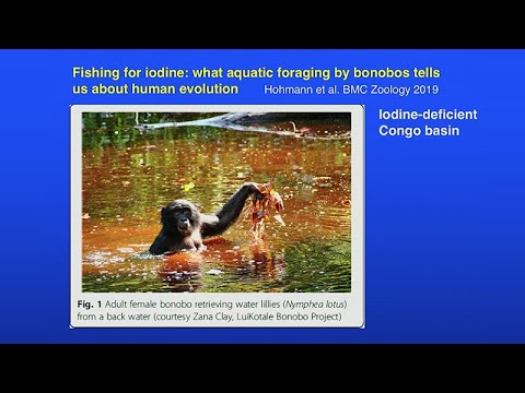 Deprivation of Nutrition as a Factor in Human Cognition - Early Life Deprivation Marcus Pembrey