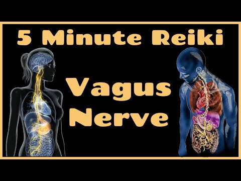 Reiki l Vagus Nerve l 5 Minute Session l Healing Hands Series