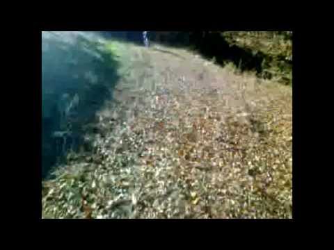 first edit "DH Lpr" team