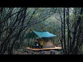 Solo camping in the rain | Unplanned camping into an old, rainy forest.  sound of rain ASMR
