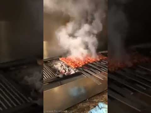 Elektrostatik Filtre Almanya