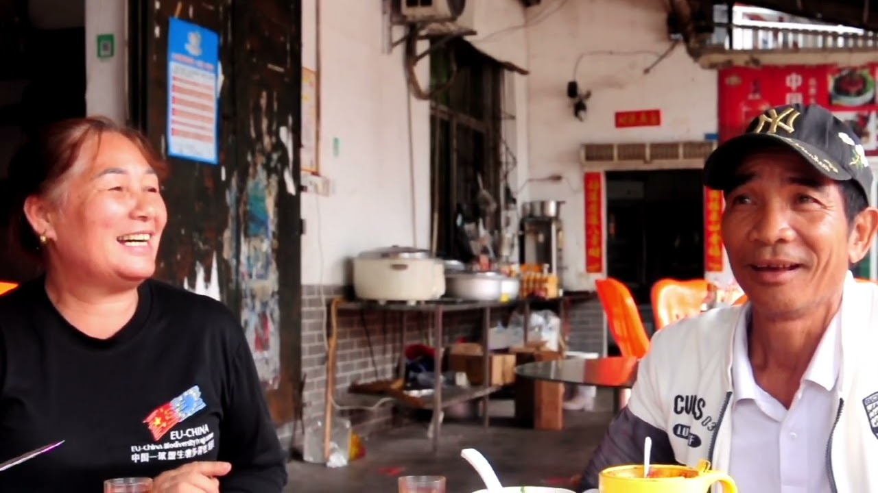 Pedestrians in the rainforest - TRAILER