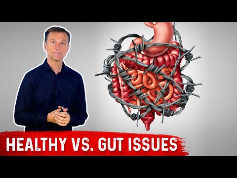 Fat-to-Protein Ratio on Keto: Healthy vs. Gut Issues