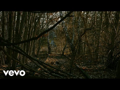 Monkyman - Strange Visitor