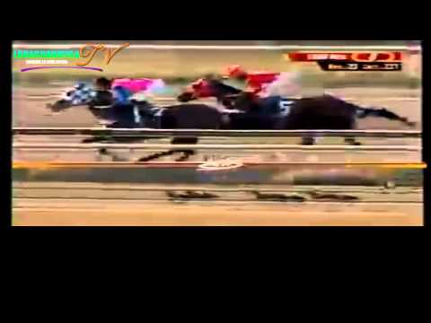 LA RINCONADA 8 CARRERA SABADO 29 DE MARZO DEL 2014