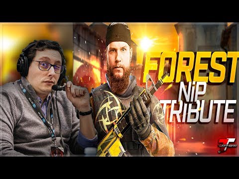 ZorlaK REAGE A "F0rest BEST PLAYS in NiP"