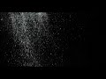 4K Snow Overlay Free Download | Snow Falling Overlay Free Download | Royalty Free | No Copyright