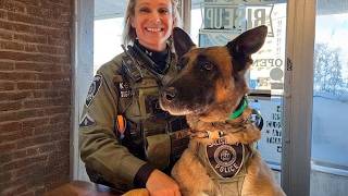Police Dogs Become the Ultimate Perfect Partners 🐶👮
