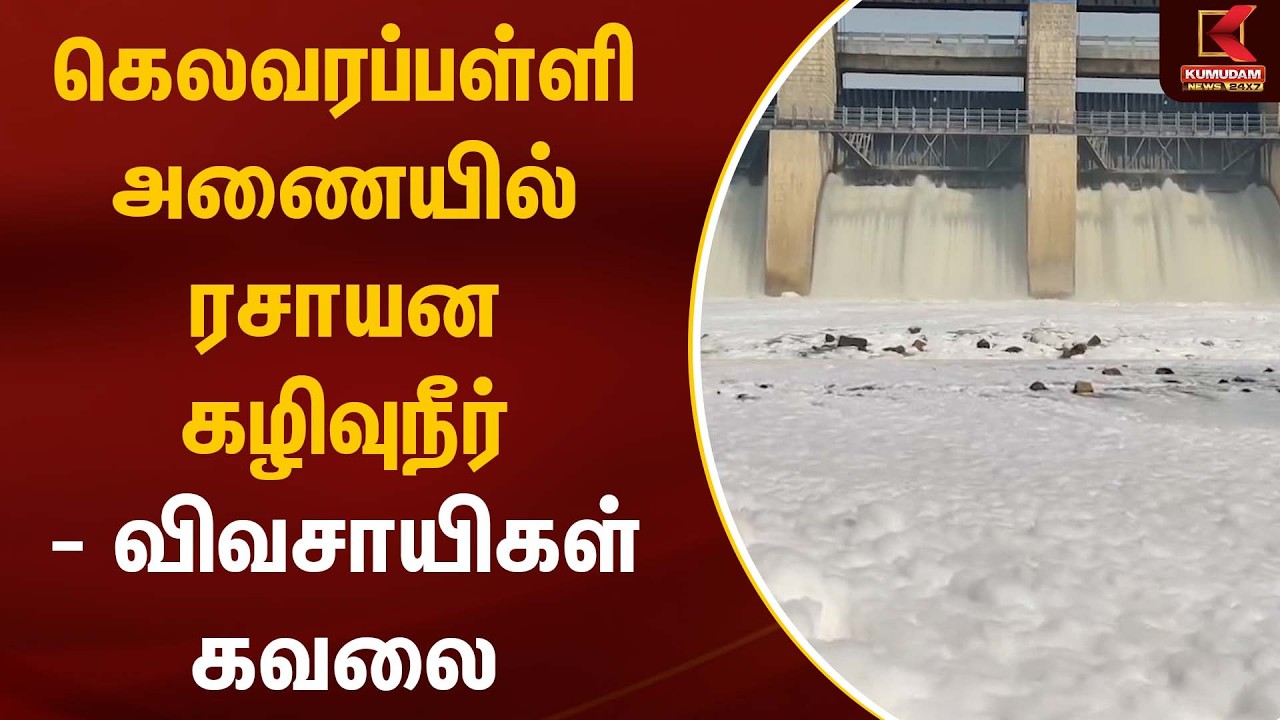கெலவரப்பள்ளி அணையில் ரசாயன கழிவுநீர்- விவசாயிகள் கவலை | Kelavarapalli Dam | Kumudam News