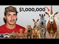 I Bought Every Exotic Animal Off The Dark Web